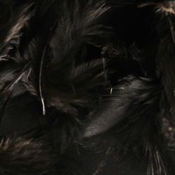 Hareline Hungarian Partridge Feathers