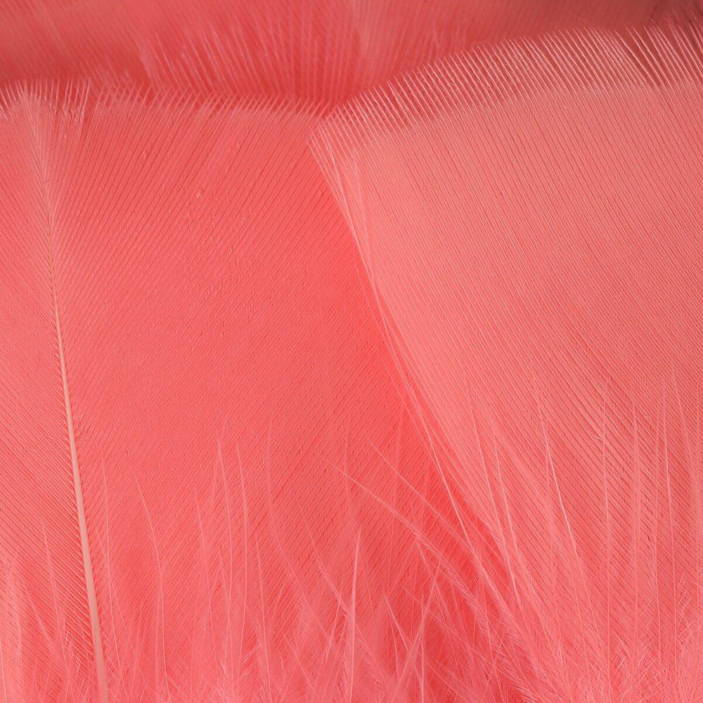 Shrimp Pink