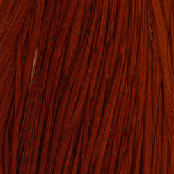 FFGene Howard Hackle cuello de plumas de gallo #3