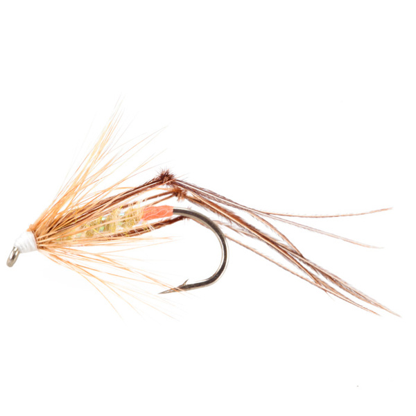 Bristol Hopper Oliva Pálido