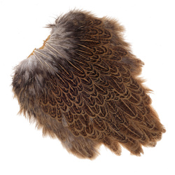 Colgadera moteada de gallina FFGene India