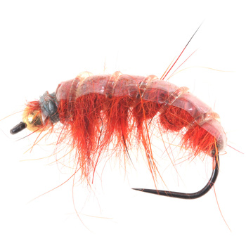 Tungsteno BH Pulido Naranja Scud