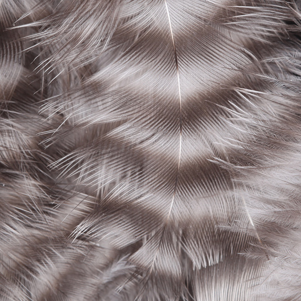 Hareline Grizzly plumas para hackle blando