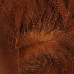 Metz plumas para hackle blando