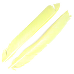FFGene Biots de pluma de pavo
