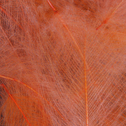 FFGene Paquete Jambo de plumas CDC teñidas - 1 gr