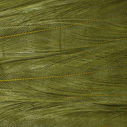 Sección central teñida del cuello de gallo Ewing