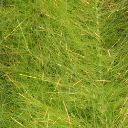 Cepillo H2O Flash Blend Baitfish de 1 pulgada (flash)