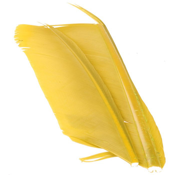 Spirit River UV2 Biots de pavo