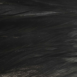 Ewing parche de plumas Deceiver teñidas
