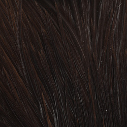 Capa de plumas del cuello de gallo Metz #2