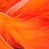 Hot Orange/ Fl Orange