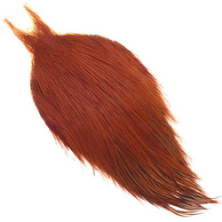 Capa de plumas del cuello de gallo Metz #1