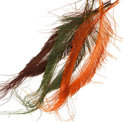 Plumas espada de cola de pavo real blanqueadas FFGene
