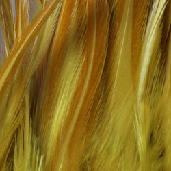 FFGene Plumas de colgadera en ristra