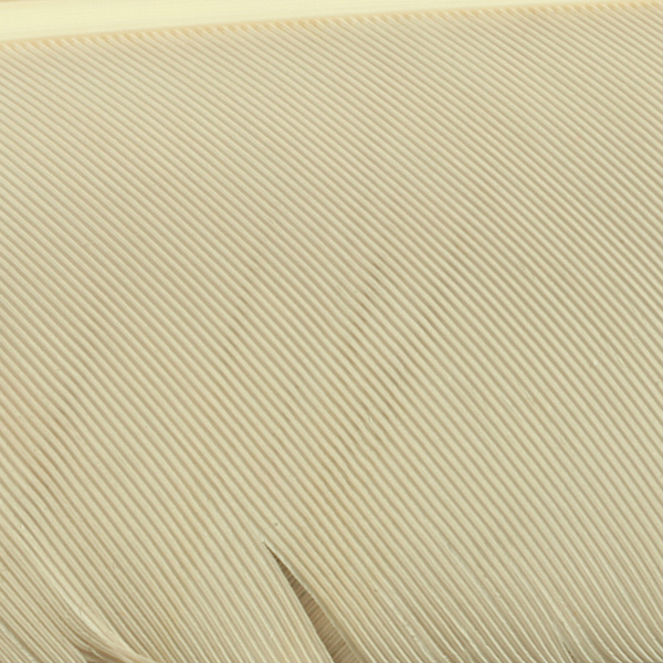 Hareline biots de pavo