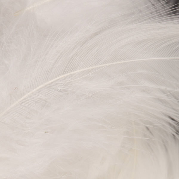 Wapsi plumas para hackle blando Matuka White