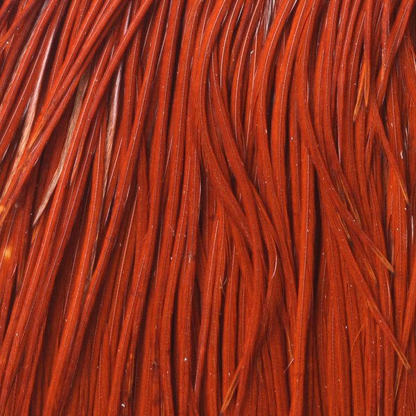 Capa de plumas del cuello de gallo Whiting Bronze