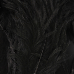 Wapsi plumas para hackle blando Matuka White