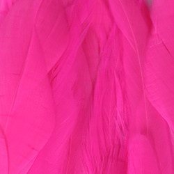 Hareline Plumas schlappen 5-7