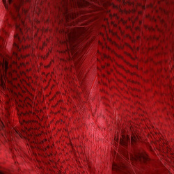 Spirit River UV2 Plumas de ánade real