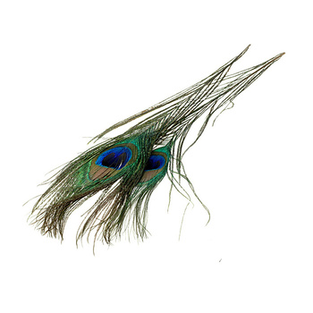 FFGene Plumas de cola de pavo real con ojo, 2 piezas