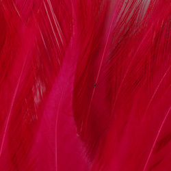 FFGene Plumas de colgadera en ristra