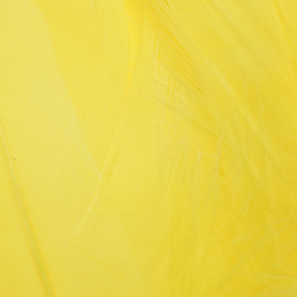 FFGene Plumas escapulares de ganso