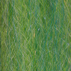 Fibras sintéticas H2O Steve Farrar SF Blend