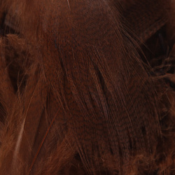 Hareline Plumas del flanco de ánade real