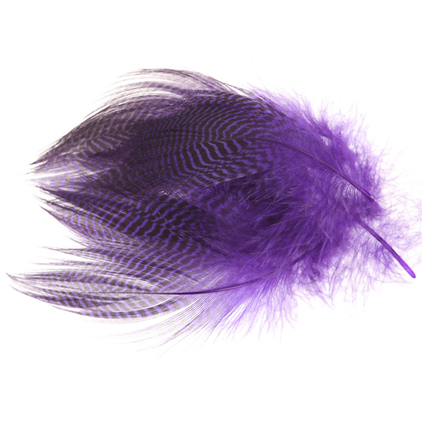Wapsi plumas barradas del flanco de cerceta
