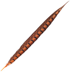 FFGene Plumas de cola de faisán de Lady Amherst