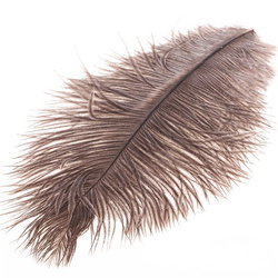 Spirit River UV2 Plumas de avestruz