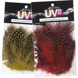 Plumas sueltas de pintada con ocelos grandes Spirit River UV2