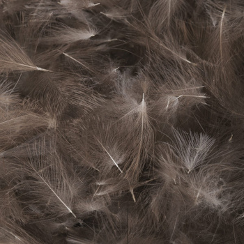 FFGene Plumas de CDC Premium - Natural 1 gram