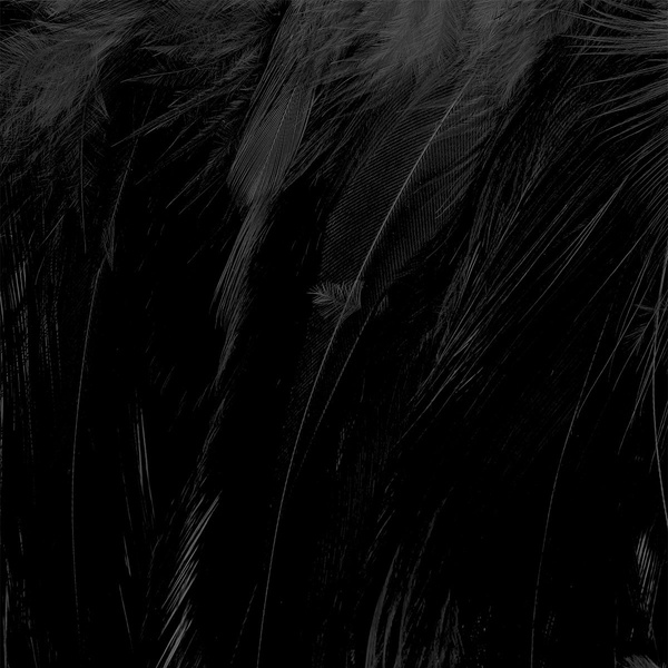 Wapsi Deceiver plumas de colgadera de gallo ensartadas Medium