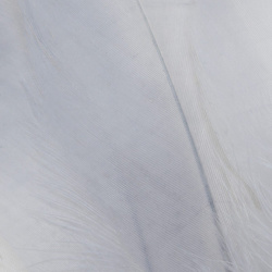 FFGene Hombros de ganso