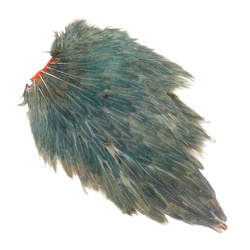 Colgadera de gallina teñida FFGene India