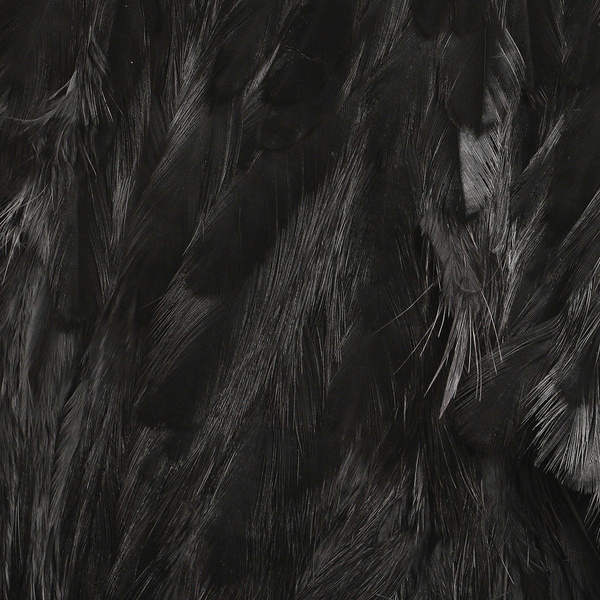 Hareline parche de plumas para hackle blando y marabú