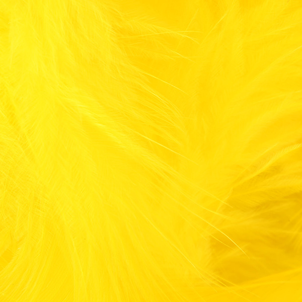 Metz plumas para hackle blando
