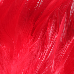 FFGene Plumas de colgadera en ristra