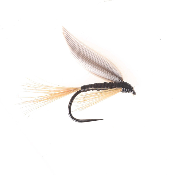 Pluma de jengibre