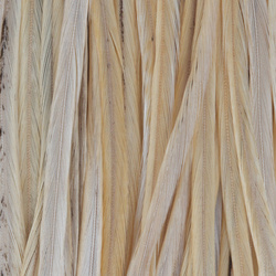 Colgadera de gallo para mosca seca Whiting