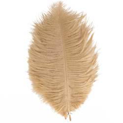 FFGene Plumas de avestruz para hackle