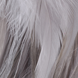 Hareline plumas de colgadera de gallo chino ensartadas 5-7