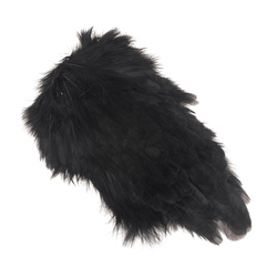 Colgadera de gallina teñida FFGene India