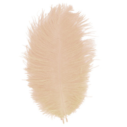 FFGene Plumas de avestruz para hackle