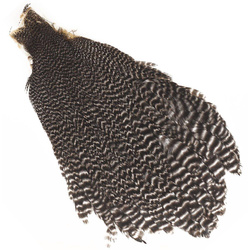 Hareline cuello de gallina