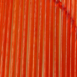 Costilla de vidrio Sybai