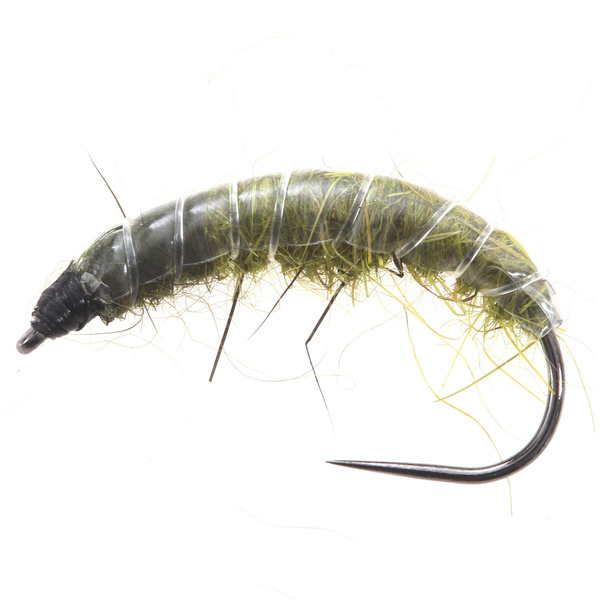 Ninfa checa Dk. Oliva/Lt. Oliva